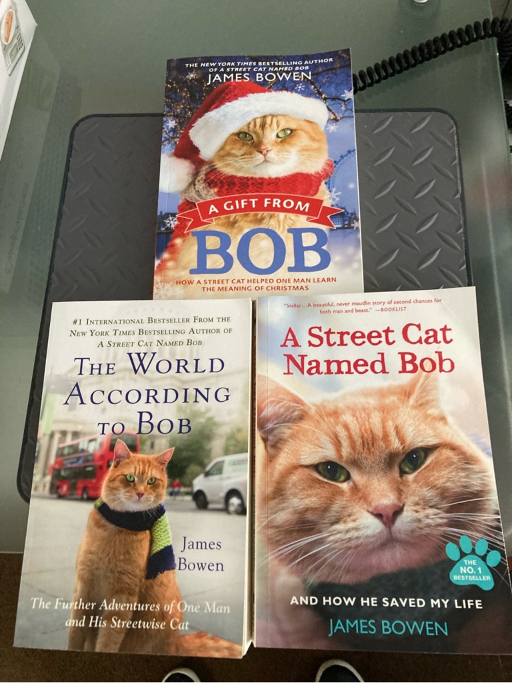 Lot of 3 by James Bowen-Street Cat Named Bob-World According to Bo-Gift From Bob